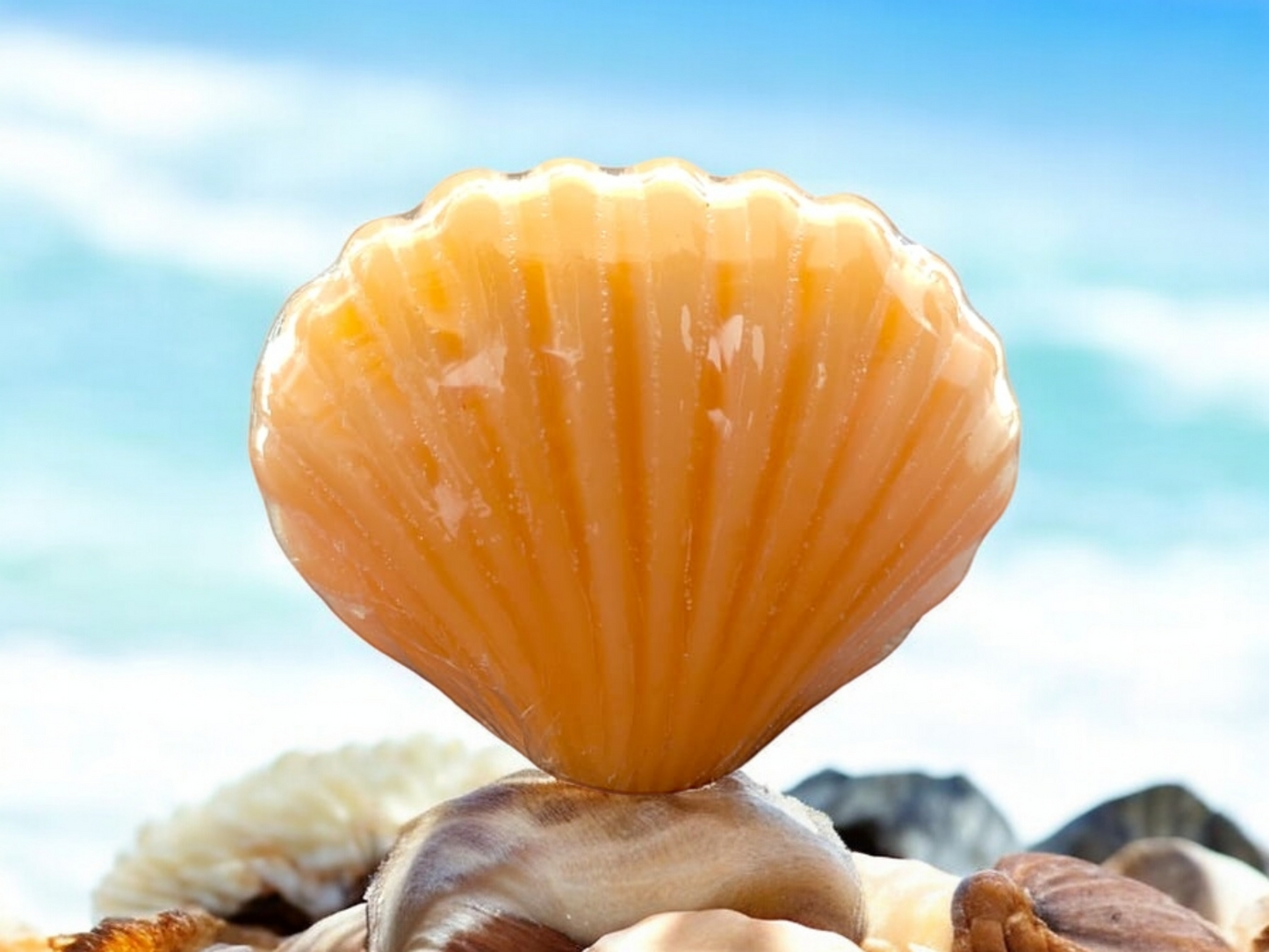 Sea Shell Soap