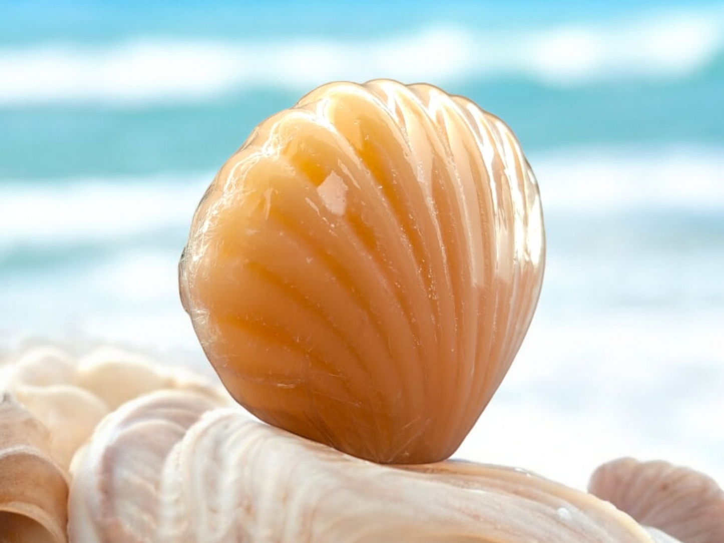 Sea Shell Soap