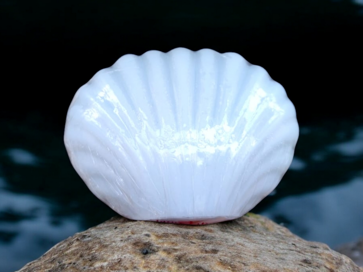 Sea Shell Soap