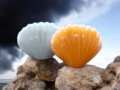 Sea Shell Soap